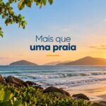 comunidade organizada
