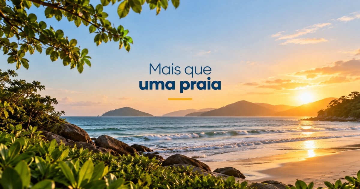 comunidade organizada